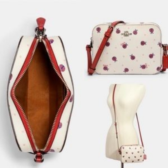 coach purse ladybug